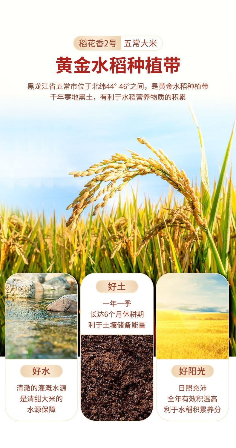 详情3.jpg