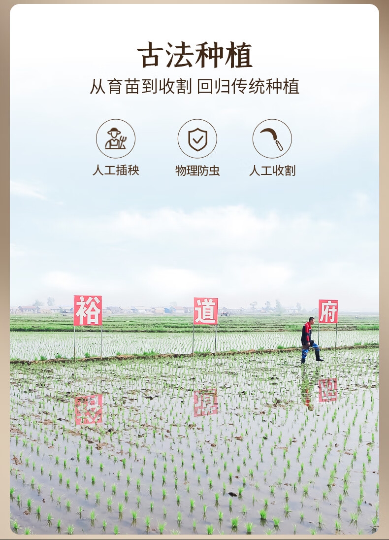 详情8.jpg