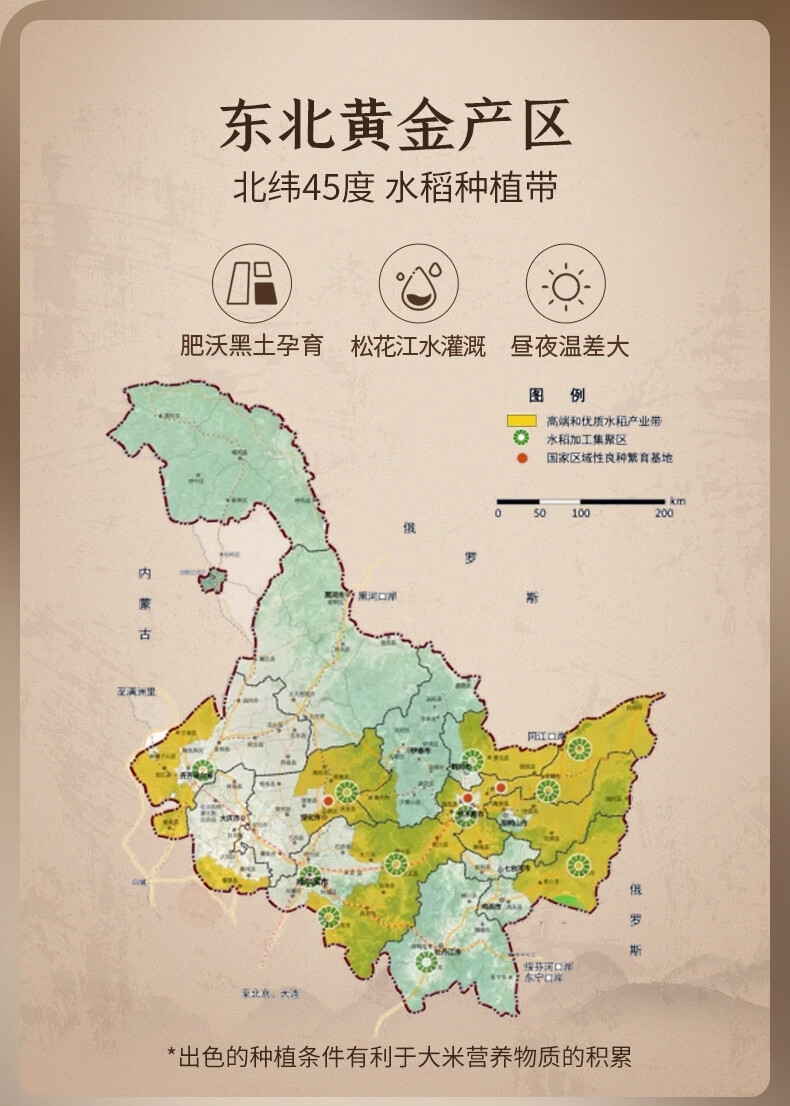 详情6.jpg