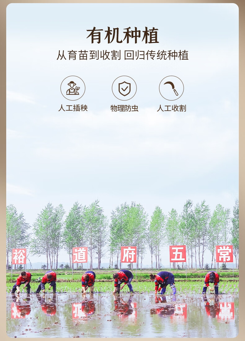 详情6.jpg