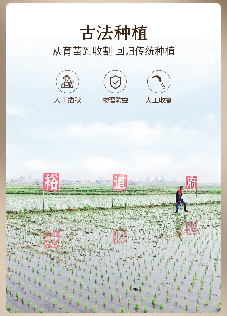 详情4.jpg