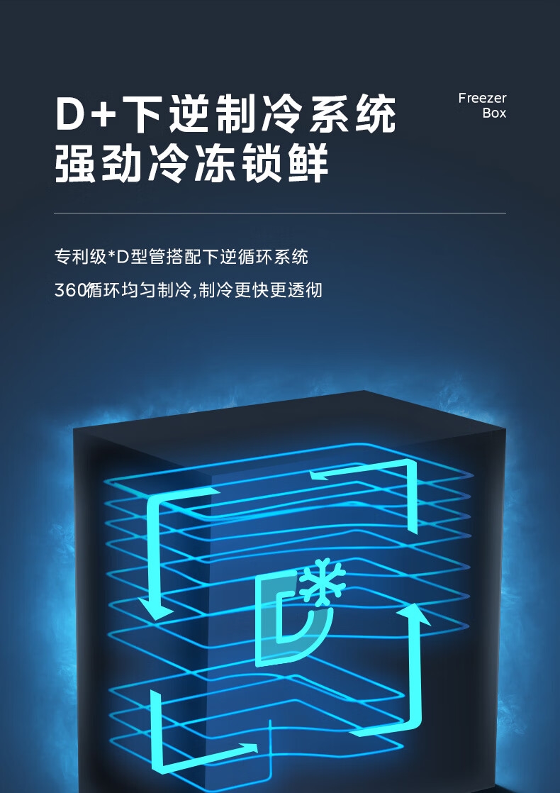 详情8.jpg