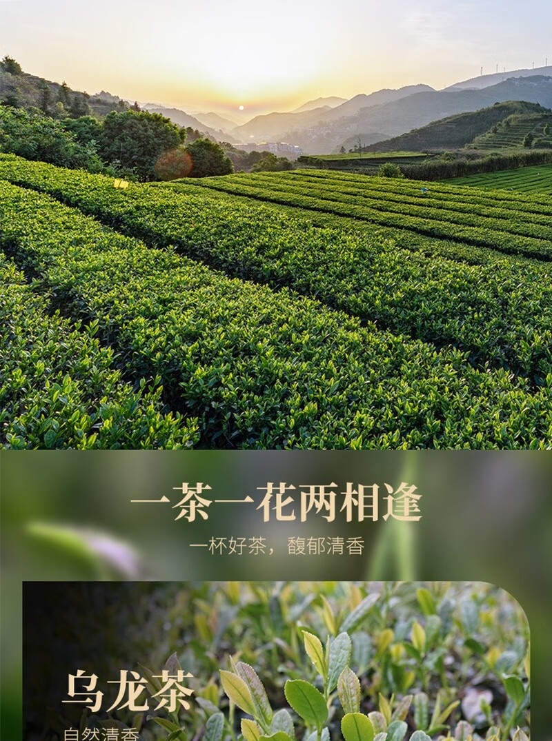 详情12.jpg