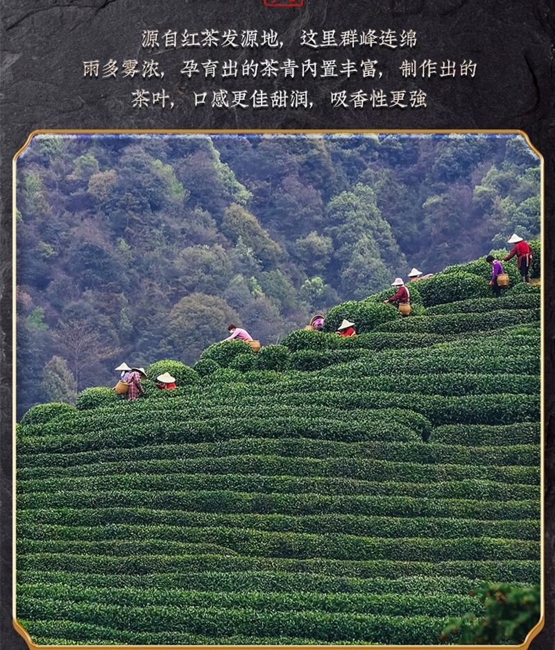 详情4.jpg
