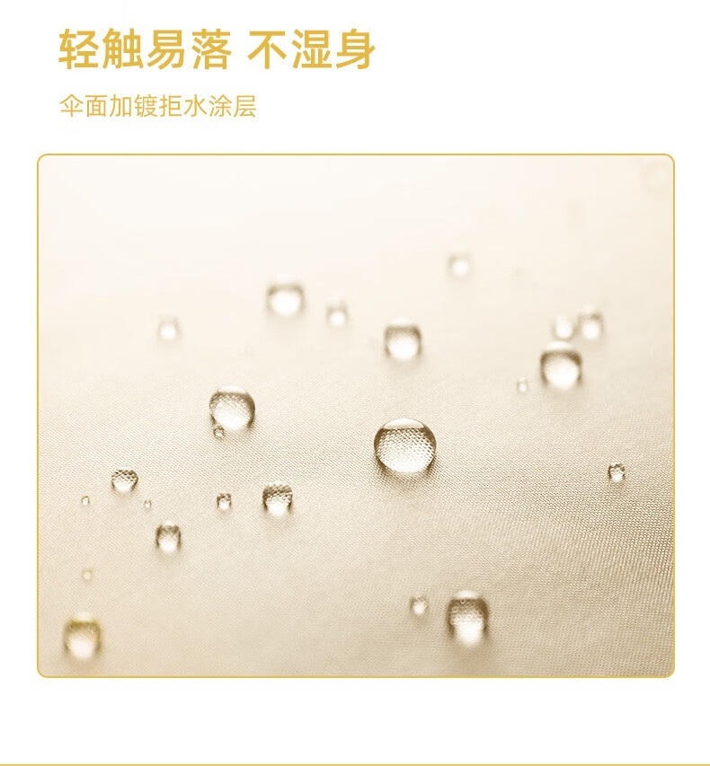 详情7.jpg