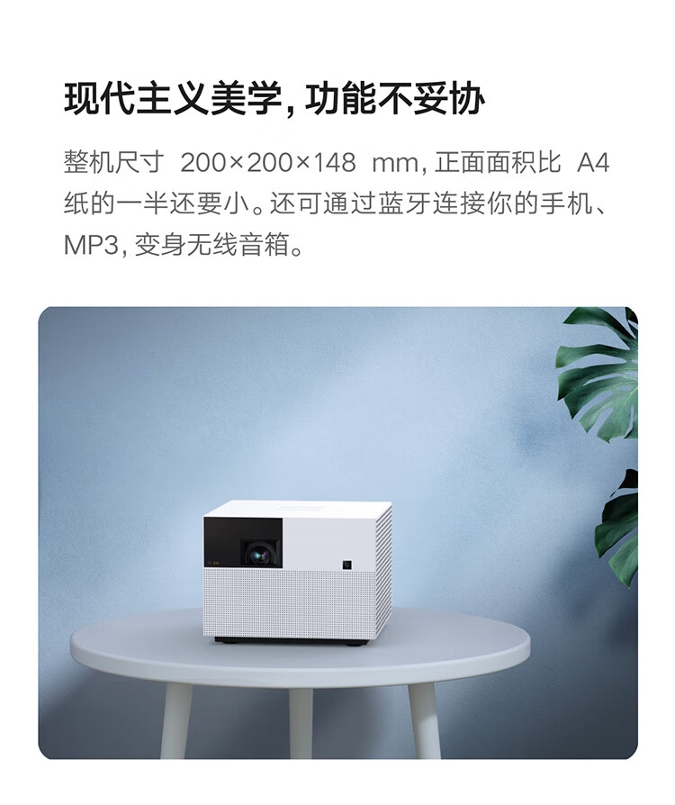 详情21.jpg