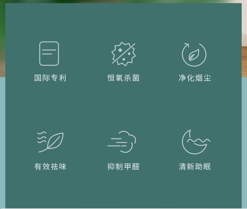 详情2.jpg