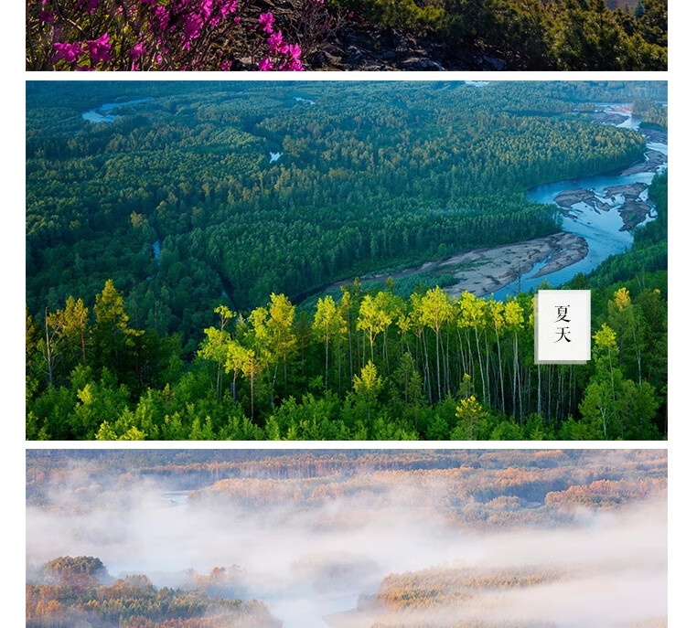 详情3.jpg