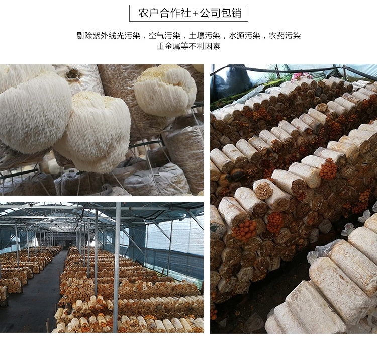 详情5.jpg
