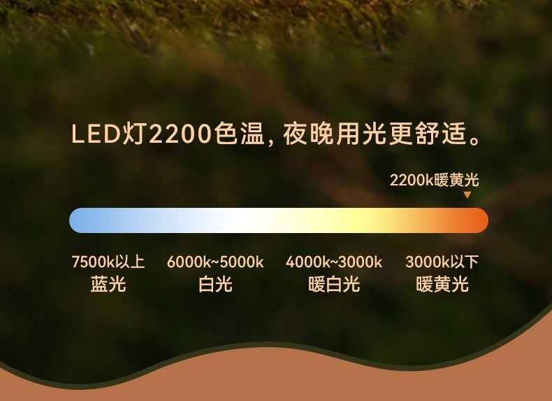 详情5.jpg
